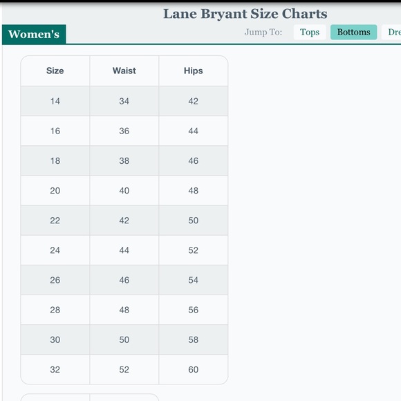 Lane Bryant Black Wide Leg Dress Pants - Picture 9 of 10